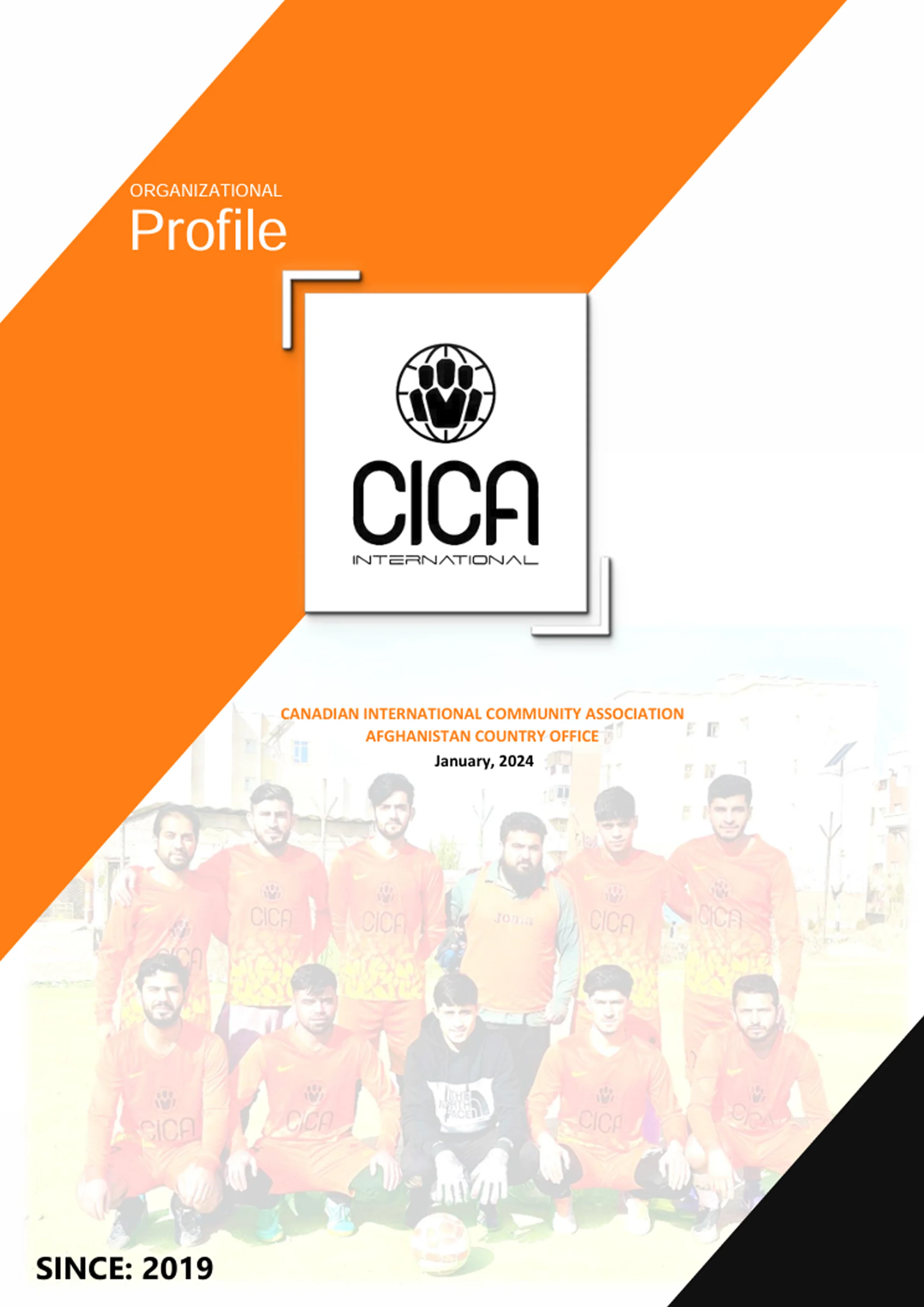 Cica non-profit organization company profile cover