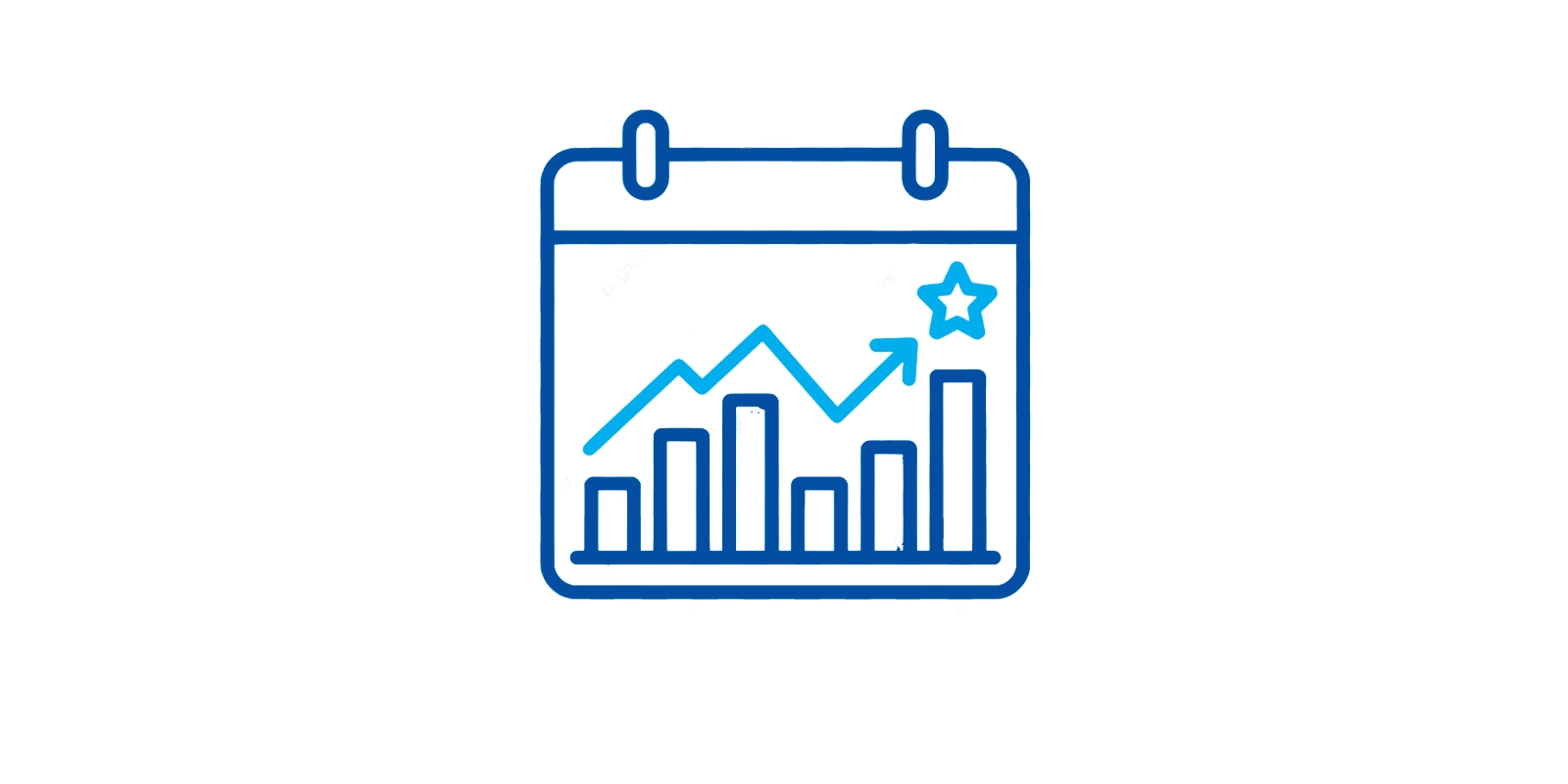 Weekly and Monthly Progress Reports